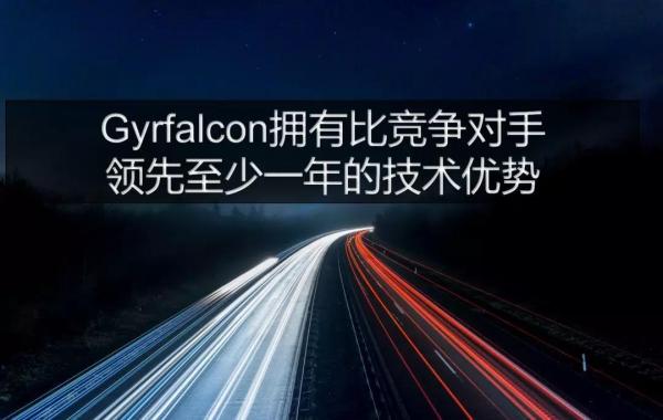 AI芯天下丨Gyrfalcon：AI 芯片新锐