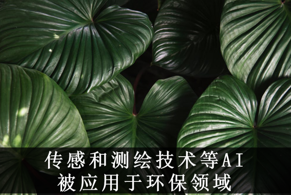 AI芯天下丨AI时代，环保产业会变得更好吗？