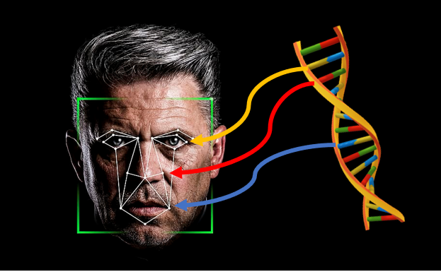 DNA to Face，会是寻人缉凶的一颗“银弹”吗？